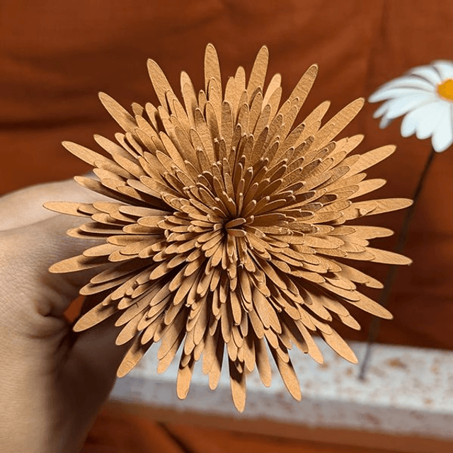 Pompon
