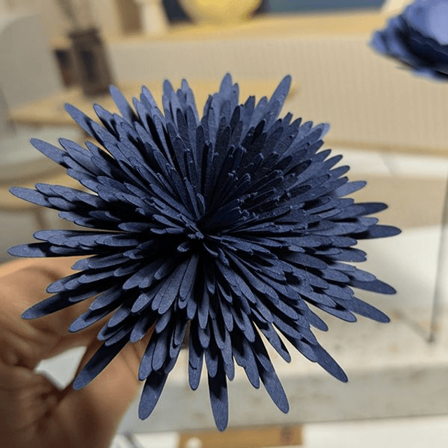 Pompon