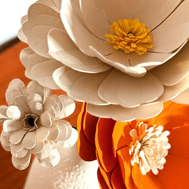 Pivoine