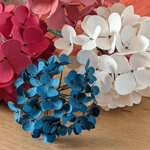 Hortensia