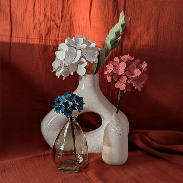 Hortensia