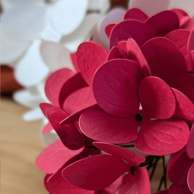 Hortensia
