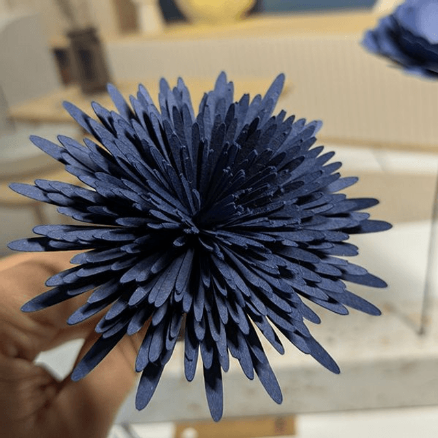 Pompon