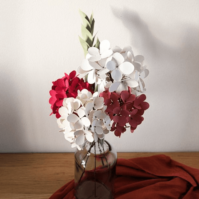 Hortensia